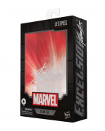 Marvel Legends Series akčná figúrka Stan Lee (Marvel´s The Avengers) 15 cm